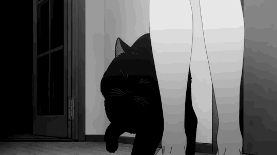 Discord Widget